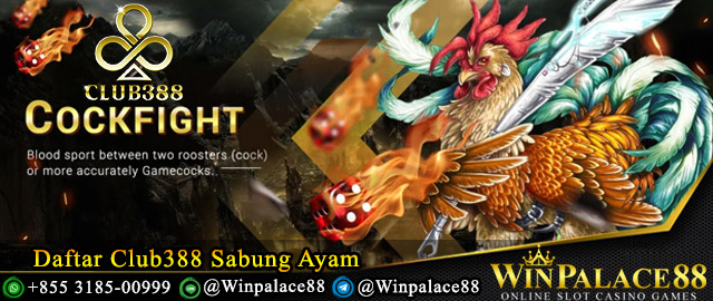 Daftar Club388 Sabung Ayam